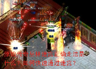 原始传奇丛林迷宫正确走法是什么?如何快速通过迷宫? 原始传奇丛林迷宫正确走法是什么?如何快速通过迷宫?
