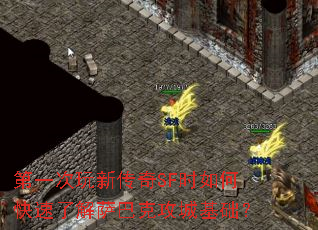 第一次玩新传奇SF时如何快速了解萨巴克攻城基础? 第一次玩新传奇SF时如何快速了解萨巴克攻城基础?