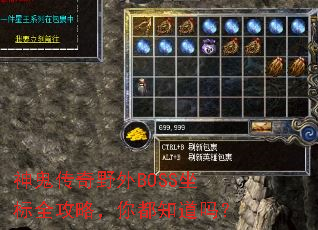 神鬼传奇野外BOSS坐标全攻略,你都知道吗? 神鬼传奇野外BOSS坐标全攻略,你都知道吗?