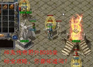 神鬼传奇野外BOSS坐标全攻略,你都知道吗? 神鬼传奇野外BOSS坐标全攻略,你都知道吗?