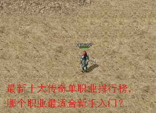 最新十大传奇单职业排行榜,哪个职业最适合新手入门? 最新十大传奇单职业排行榜,哪个职业最适合新手入门?