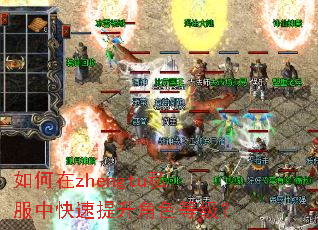 �����zhengtu˽���п���������ɫ�ȼ���