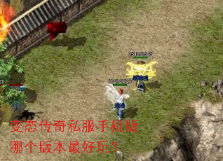��̬����˽���ֻ����ĸ��汾����棿