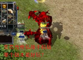 ��̬����˽���ֻ����ĸ��汾����棿