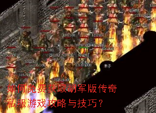�����ѻ�ȡ�����洫��˽����Ϸ�����뼼�ɣ�