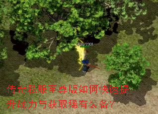 传奇私服至尊版如何快速提升战力与获取稀有装备? 传奇私服至尊版如何快速提升战力与获取稀有装备?