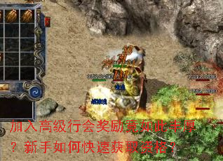 加入高级行会奖励竟如此丰厚?新手如何快速获取资格? 加入高级行会奖励竟如此丰厚?新手如何快速获取资格?
