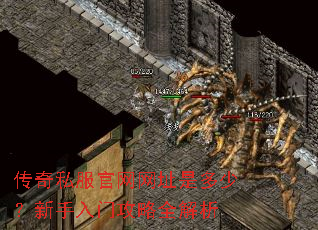 传奇私服官网网址是多少?新手入门攻略全解析 传奇私服官网网址是多少?新手入门攻略全解析