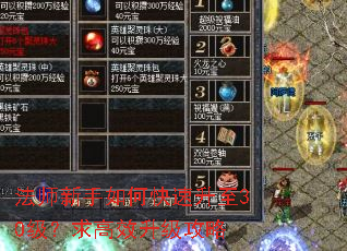 法师新手如何快速升至30级?求高效升级攻略 法师新手如何快速升至30级?求高效升级攻略