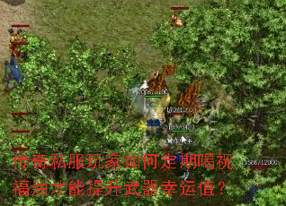 ����˽�������ζ��ں�ף���Ͳ���������������ֵ��