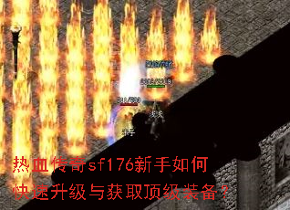 ��Ѫ����sf176������ο����������ȡ����װ����