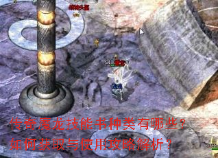 传奇魔龙技能书种类有哪些?如何获取与使用攻略解析? 传奇魔龙技能书种类有哪些?如何获取与使用攻略解析?