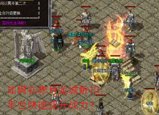 ����ڳ��������ۿ�ƽ̨��������ս����