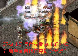 29�����Ǵ���˽�������Ŀ�ʼ��������ο���ͻ�Ʒֽ�㣿
