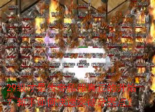29�����Ǵ���˽�������Ŀ�ʼ��������ο���ͻ�Ʒֽ�㣿