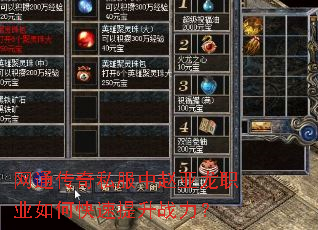 网通传奇私服中赵亚龙职业如何快速提升战力? 网通传奇私服中赵亚龙职业如何快速提升战力?