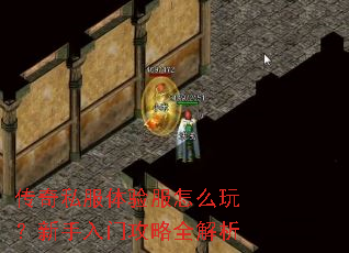 传奇私服体验服怎么玩?新手入门攻略全解析 传奇私服体验服怎么玩?新手入门攻略全解析