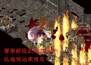 �������ҵ�ϡ�д���˽����վ���Ƽ���