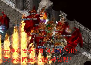 元神在传奇中如何发挥作用?又该如何提升元神等级呢? 元神在传奇中如何发挥作用?又该如何提升元神等级呢?