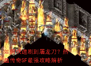 ��ο���ˢ������������Ѫ����SF��ǿ���Խ���