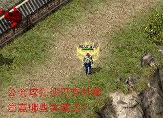 ���ṥ��ɳ�Ϳ�ʱ��ע����Щ�ؼ��㣿