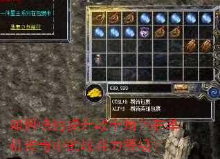 如何快速提升战士角色在单机传奇中的战斗力等级? 如何快速提升战士角色在单机传奇中的战斗力等级?
